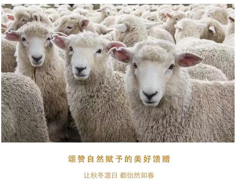 hGyTgvKjy9T/JMf1cqccinKXHS9om4nMaAMd