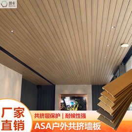 ASA护墙板 PVC木塑WPC酒店景区度假村外墙面造型装饰共挤塑木墙板