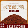 Ganoderma spore powder OEM OEM customized