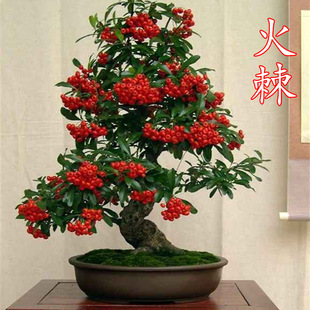 �����Ԙ��缪����M�üt�Ϙ䘶�^��ֲ����辰���B���ͺ�ϲ�c