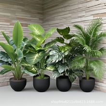 ����Gֲ�٘�ֲ�������B���滨�b߶��p�ݿ͏d��ؔ[���쾰����