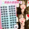 manhua xiao tian mao
