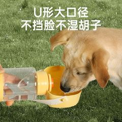 犬は外に出てコップを飲みます。ペットは一緒にコップを飲みます。猫は犬を散歩します。