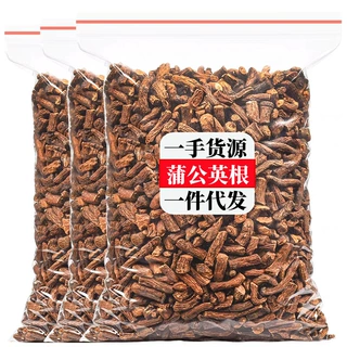 蒲公英根茶野生根养生茶长白山婆婆丁带根干货炒制茶可食用药材
