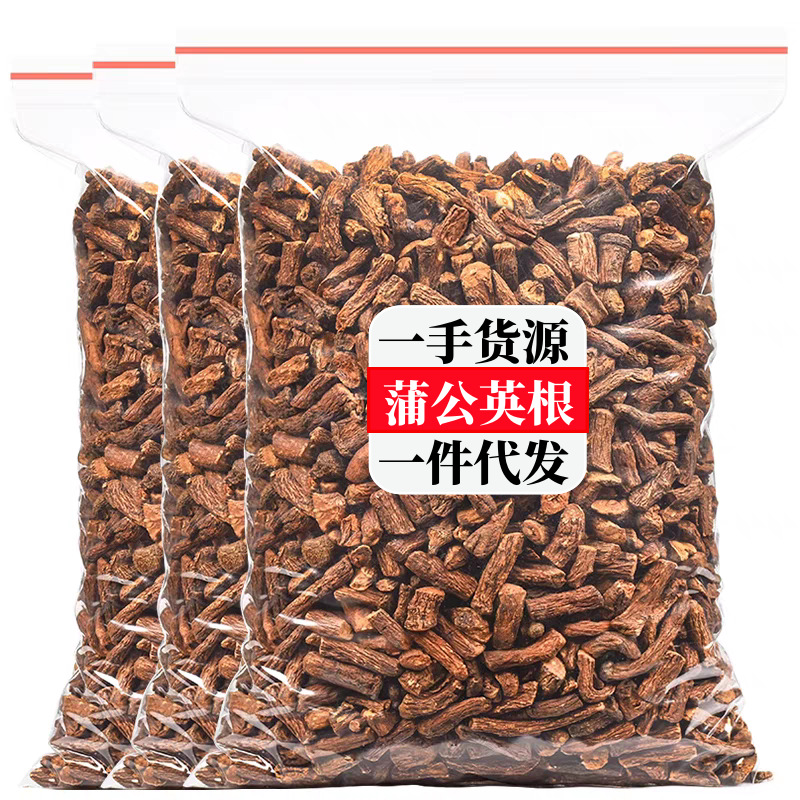 蒲公英根茶野生蒲公英根养生茶长白山婆婆丁带根干货炒制蒲公英茶