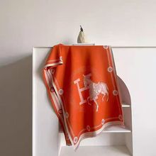 新款欧美大牌秋冬季披肩加厚双面长款 H马现货批发仿羊绒围巾女士