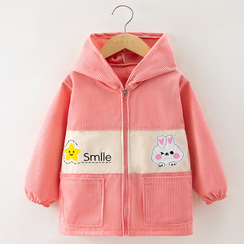 Children's coat for autumn and winter outerwear, suitable for middle and large children, sets of down jackets, cotton coats, protective clothing, waterproof, extended length, easy to wear outer jacket