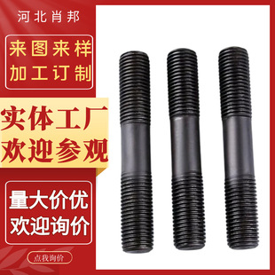 ���S�����p�^��˨ȫ�ݼy�������a���NҎ��ߏ����p�^��˨���l�z��