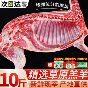 �O����~����  �ָ��ֻ��ԭ�����r��������������ϐ�ӻ��ʳ��