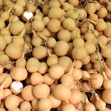 ��Ȼ����С���J��������f�������ؔ���̖����J��ˇƷ��Դ�^��