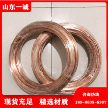 T2紫铜丝 纯紫铜线 无氧铜丝 0.08~0.20mm 常规规格现货
