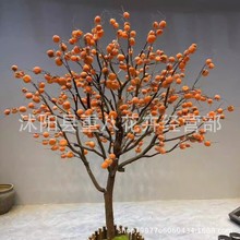 �������٘�������Ә��̈�չ�d�����b��S٘�ֱ���������ߘ�