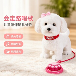 ���湷��߹����Е���ë�q늄�С����ͯ���ë�q������ӹ�