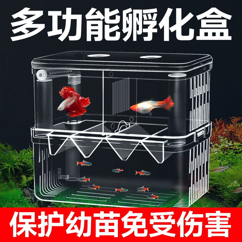 Аквариумная коробка для кормления аквариума Инкубатор для разведения павлинов