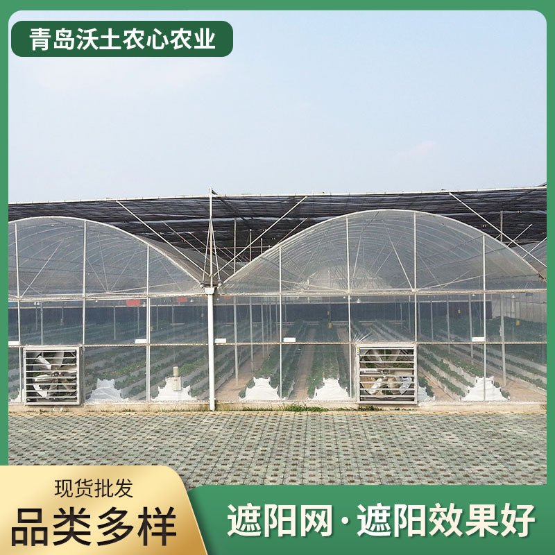 青岛厂家农用遮阳网大棚遮阳防晒网养殖大棚适用pep利得膜现货