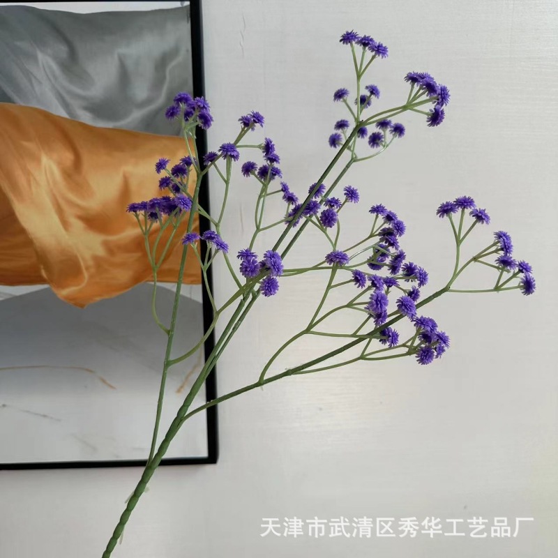 다크 퍼플