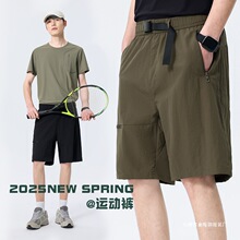 2025�ļ��¿���朶�ڴ����z���ѝ�������b���e�\�әC���ٸɏS��