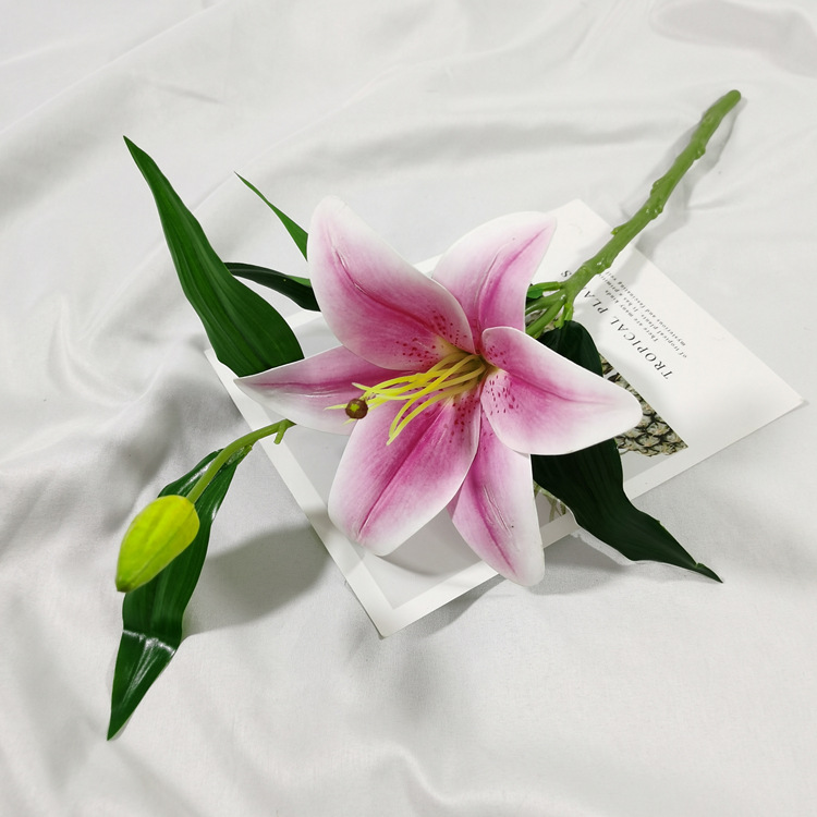 IMG_20220212_111906_副本