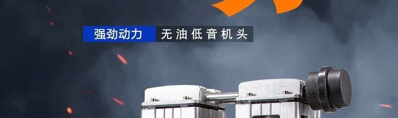 Oil-Free Silent Original Air Compressor Head Motor Vacuum Pump 220V Air Pump Head Air Compressor