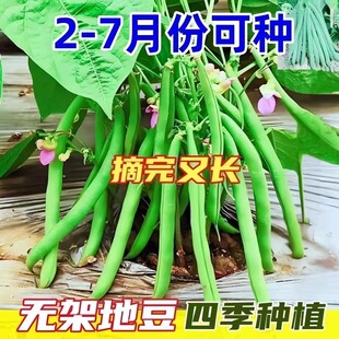 �ļ����N�ӟo������ض����ǷN�Ӱ������ô�ܿ������߲�ܿ���N��