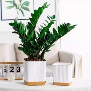 Nordic Style Simple Vertical Pattern Square Self-Watering Lazy Flower Pot Plastic Resin Thickened Indoor Balcony Green Plant Pothos