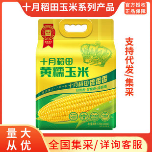 ʮ�µ��� ��Ŵ���װ� �rʳ�SŴ���� ���r���� �ЙC���״��l����