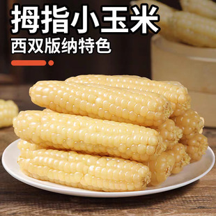 ������p��{ĴָС�������r��ָ����Ŵ�������ͼ�ʳ���������