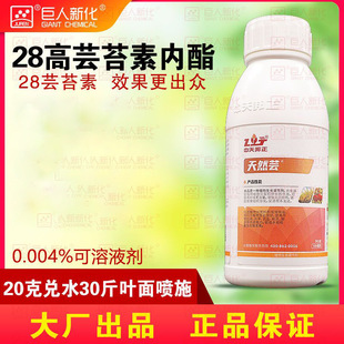 28-����̦ܿ�؃���ֲ�����L�{���� ���Ʒ�|���a��Ȼܿ������Ʒ