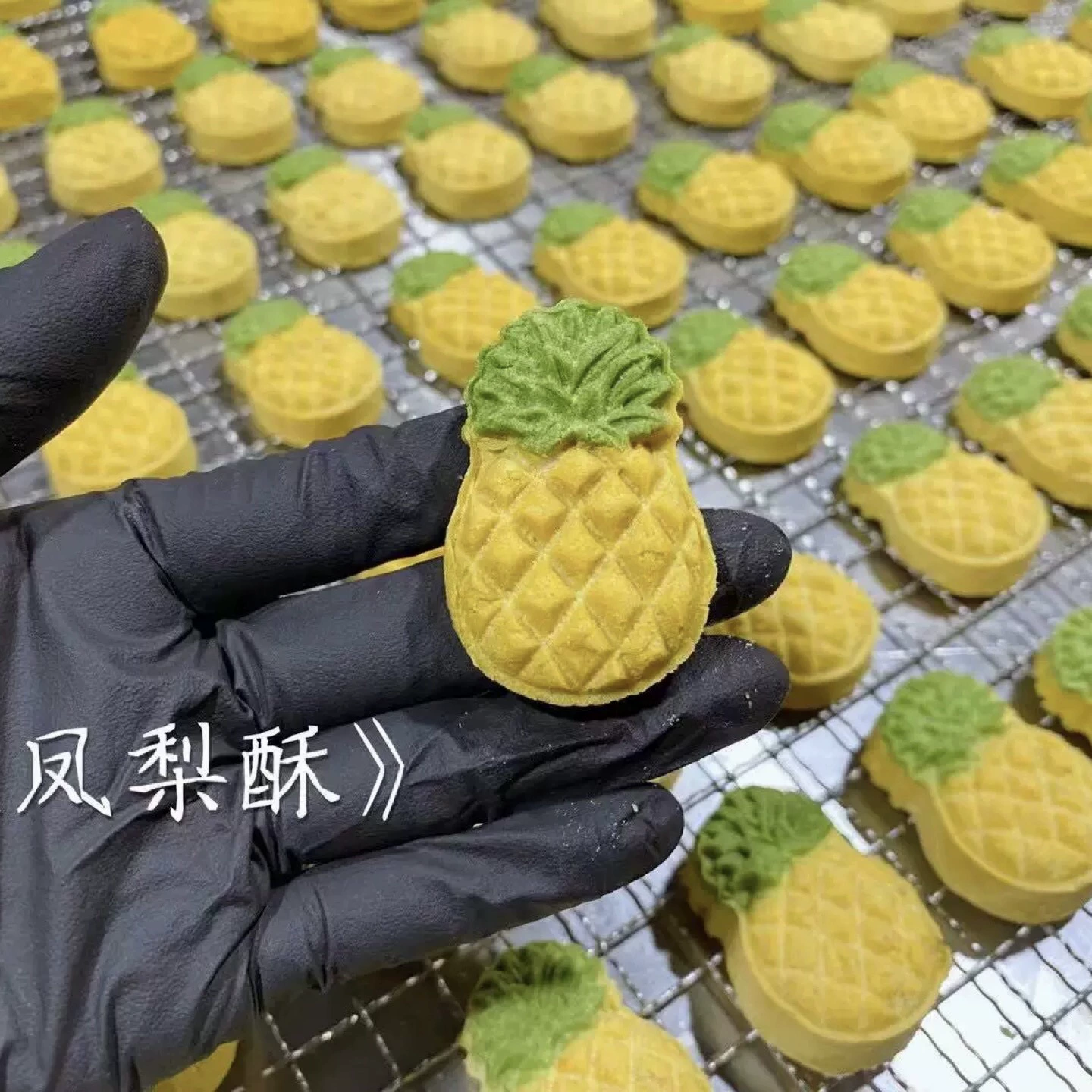 Сублимированные на воздухе ананас для домашних животных Сублимированные сырые кости и плоть Закуски для кошек Закуски для собак Товары для животных Сублимированные куриные кошки