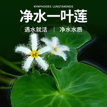 �݈�ֱ�lˮ������һ�~ɏ ���w�~��ˮ�� ��ˮ���~�ذ�һ�~ɏˮ��