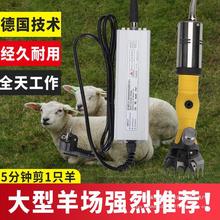 �oˢ늄���ë���͉�ֱ������ë�C��Ԫ��Ƭ��ë���Ӵ��ʼ�ë�C