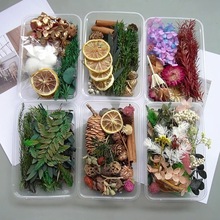 手工diy材料果实混装花盒花材干花包幼儿园森系环创装饰圣诞松果