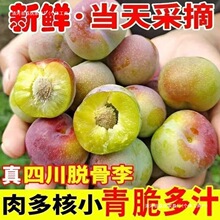��S���´ࡿ�����Ĵ����Ó��������´������ЋDˮ���������