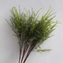 仿真植物水草 天门冬 山草假花家居绿植装饰婚庆插花植物造景批发