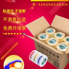 ����͸���z��������f��������z������z�����z���������z�����l