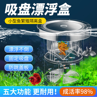 Fish Tank Hatching Box, Guppy Breeding Isolation Box, Small Fish Eggs, Fry, Zebrafish, Betta Tank Supplies, Spawning