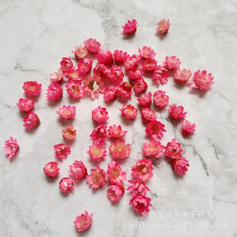 Cabeza de flor de estrella brasileña sin varilla flor seca diy mini margarita cristal epoxi relleno decorativo cabeza de flor seca