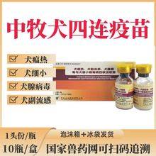 中牧犬四联疫苗国产狗疫苗狗防疫宠物犬养殖肉狗灭活疫苗