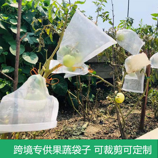 Tie Silk Fruit Bird and Insect Proof Mesh Bag Melon and Fruit Protective Bag Fig Loquat Mesh Bag Peach Strawberry Protective Cover