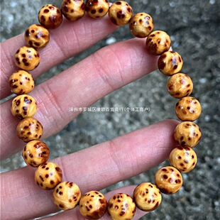 ̫���°��ִ�0.8���Mȸ��ꐻ�����ꐻ��ϝM�������Ů�������