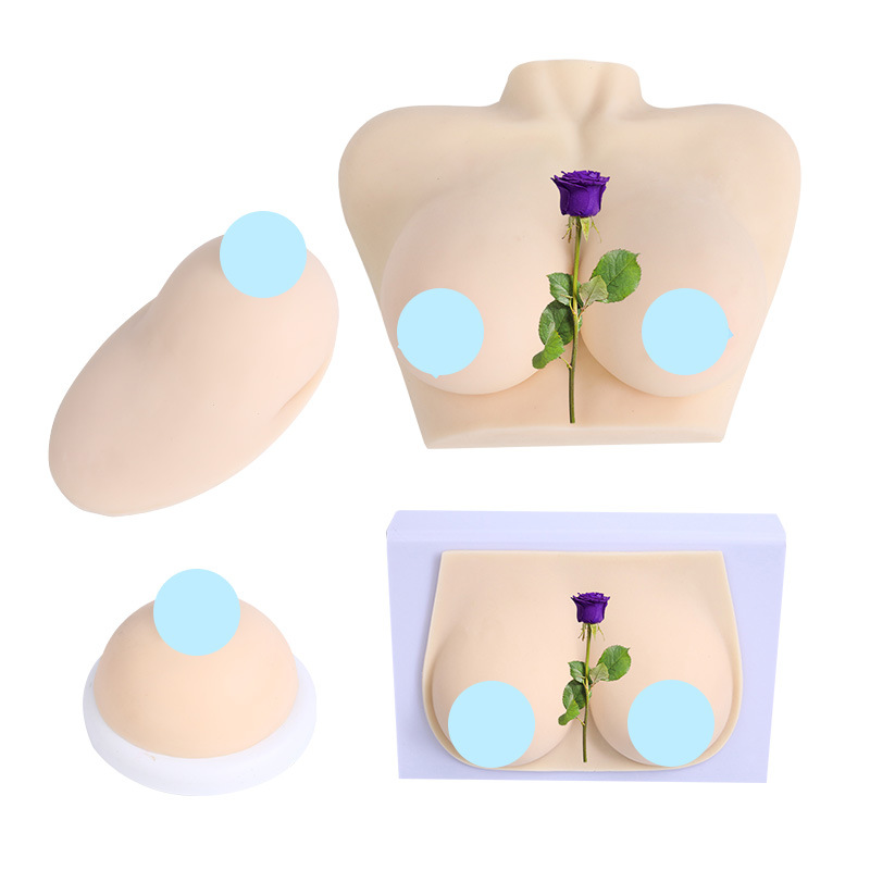 ������ɩ�������Ů���鷿����ʦ��ѵ���߲���轺�鷿�̾�ģ��