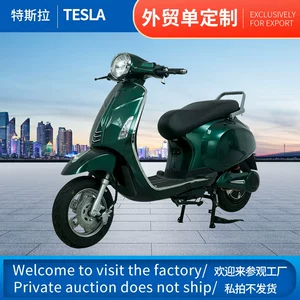 Elektrikli Avtomobil Tsl Böyüklər üçün Elektrikli Motosiklet 48V Tsl Cüt Elektrikli Avtomobil