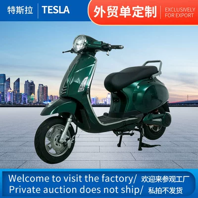 Export Electric Car Tsl Adult Mobility Electric Car Electric Motorcycle 48Vtsl Double Electric Car for Outings (Elektrikli motosikletlər)