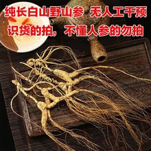东北长白山野山参人参林下参干人参吉林野生人参泡酒煲汤野生人参