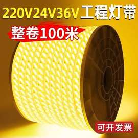 户外防水led灯带220v超亮工程外墙室外客厅吊顶氛围暖光暖白灯条