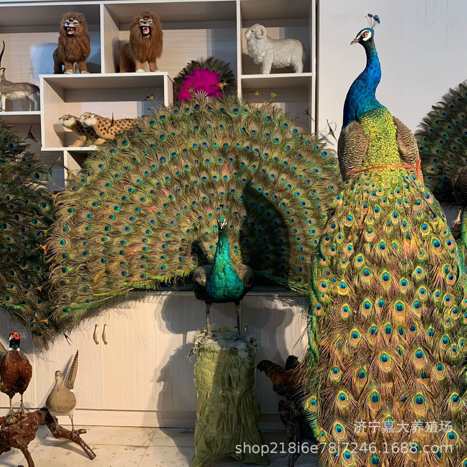 Главная Гостиная винный шкаф офисное украшение пола Павлин образец ремесла Прихожая Павлин образец