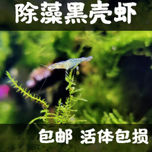 ��ˮ���r�����r�ښ��r�r����r�r�r���w��ˮ�ͻ�ѻ��r�坍�^�p�r