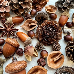 ��������}�Q�ֹ�DIY�ɻ��ɹ� �����Ƥ�ɹ����������r��