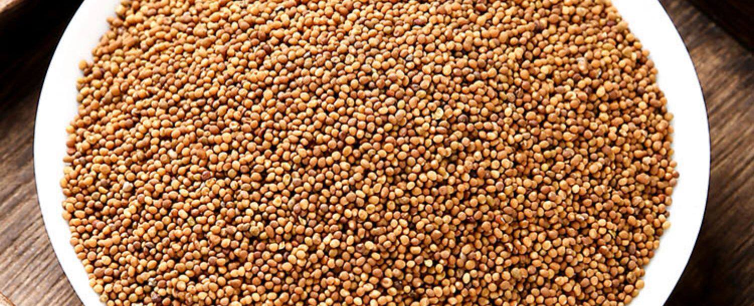 Dodder Seed Tu Si Zi Dried Chinese Herb 500g Wildcrafted for Tea and Infusion quality and texture