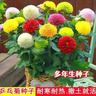 ߲ƹշNױļ_Сr׷N҃⻨ԷN